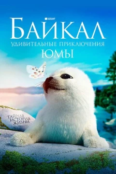 Смотреть фильм Байкал. Удивительные приключения Юмы (2020) онлайн
