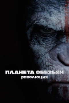 Смотреть фильм Планета обезьян: Революция (2014) онлайн