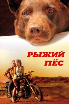 Смотреть фильм Рыжий пес (2011) онлайн