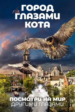 Смотреть фильм Город глазами кота (2018) онлайн